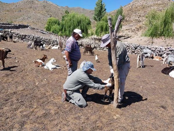 410560255_762425912579034_7186817380782073549_n