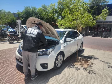 WhatsApp-Image-2024-12-12-at-4.43.13-PM-360x270