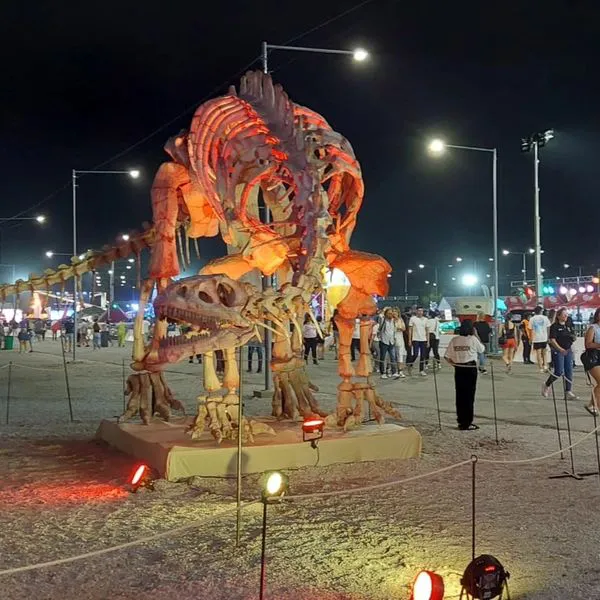 464789798_964053779099141_7922744860470270383_n