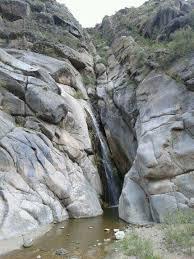 images (1)