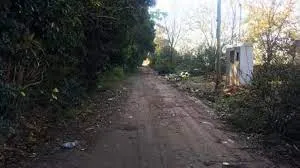 descarga (5)