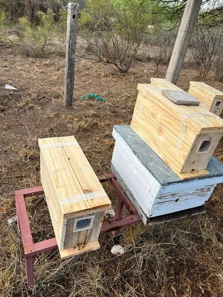 406800203_839771367939444_545624028270910417_n