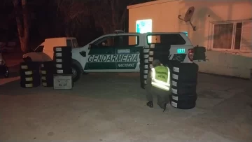 whatsapp_image_2024-09-26_at_18.25.10_1-360x203