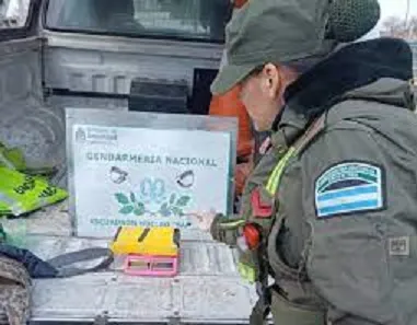 descarga