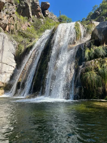 WhatsApp-Image-2026-01-14-at-18.44.20-360x480