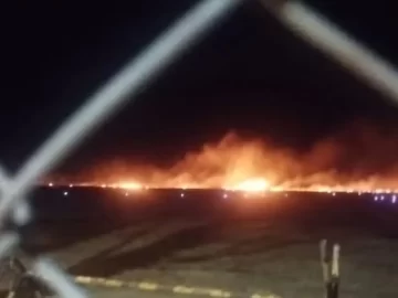 cd59d658-4ea1-4575-877a-eb78b57fcae7-360x270