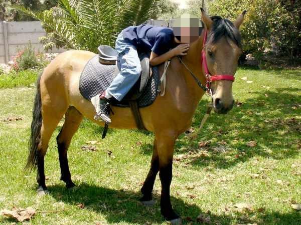 d1da796e-5e5a-40d1-bcc7-30da3b8496a6