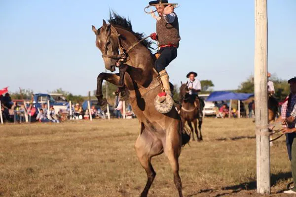 multimedia.miniatura.81b441b8870ca9ae.646f6d612d315f6d696e6961747572612e6a7067