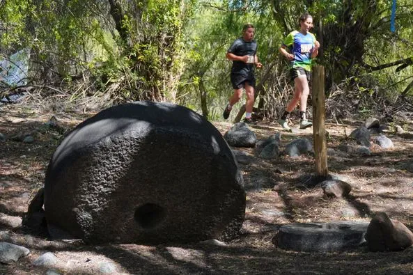 464707398_967467365408220_6887777909880792480_n