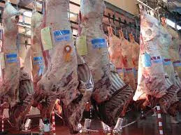 images (10)