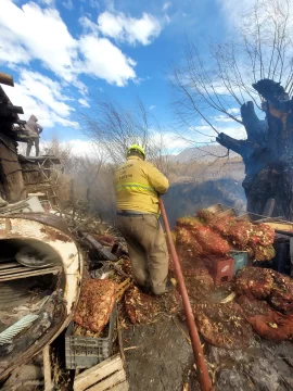 WhatsApp-Image-2024-08-02-at-15.56.46-1-270x360