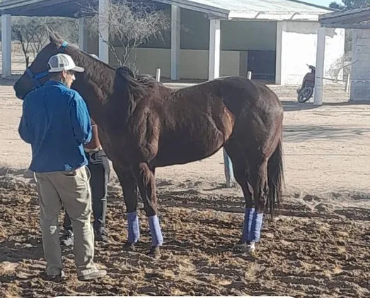 367422990_732522708887412_5031948236247953857_n