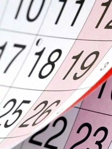 6241c1ba637ee_360_480!