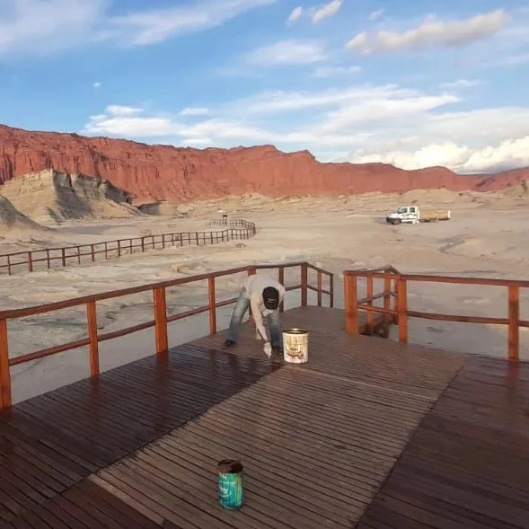 430706879_805826008255253_4297402331399972346_n