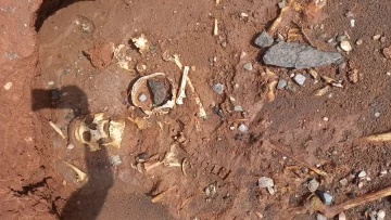 calavera-31-01-26-360x203