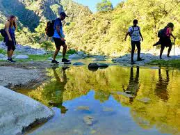images (9)
