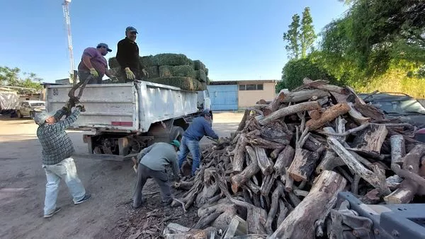 312593236_494206249401003_7594792148497223561_n