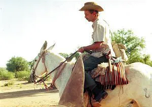 SIL-A-CABALLO