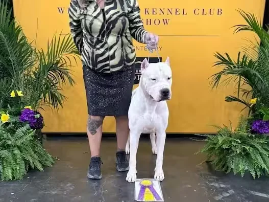 4GGZSCREOZCJ3KC7ZZ4CJWMXUA