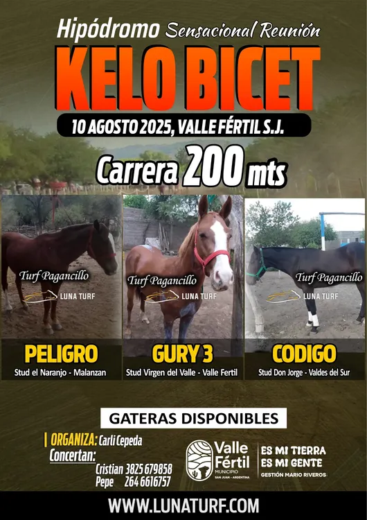 4e6da07f-4756-4ee0-bbcb-82749560f148