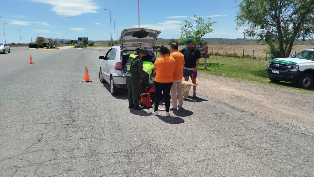 san_luis_marihuana_1