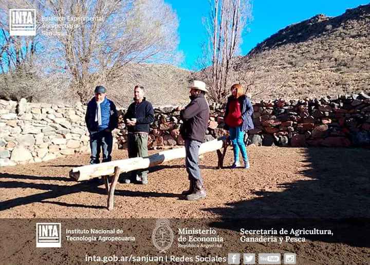 FB_IMG_1724896717218