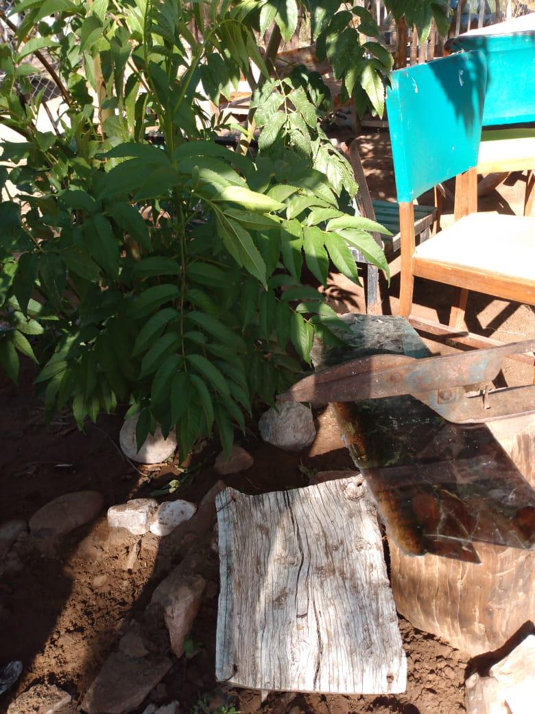 IMG-20220428-WA0023