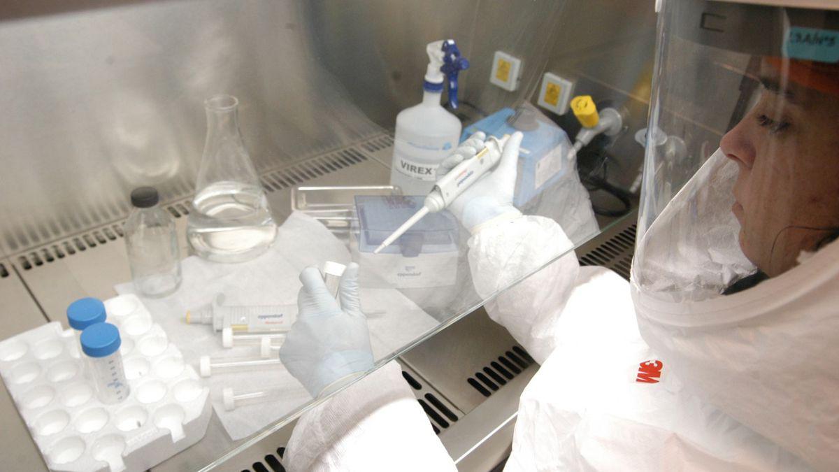 variante-deltajpgjpg