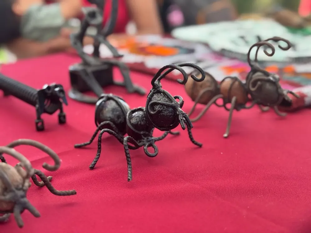 563422910_1240133824808238_4301696916115782227_n