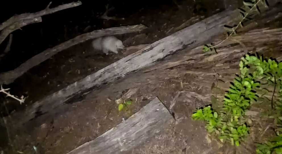 md - 2025-08-12T163347.100