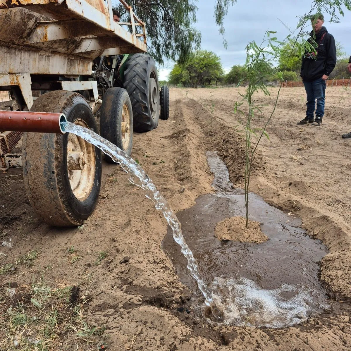 e2d4f493-35cf-4200-beed-750b8a4451c3-jpeg.