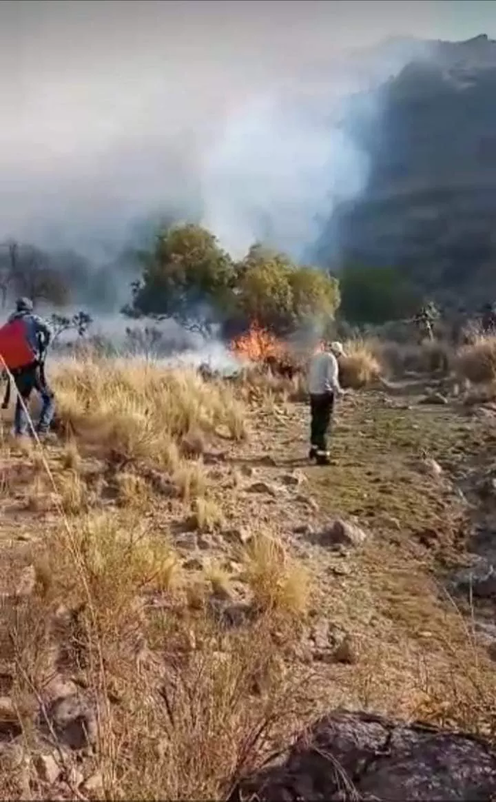 FB_IMG_1663278602865