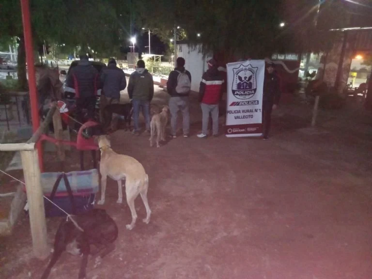 f768x1-374648_374775_5050