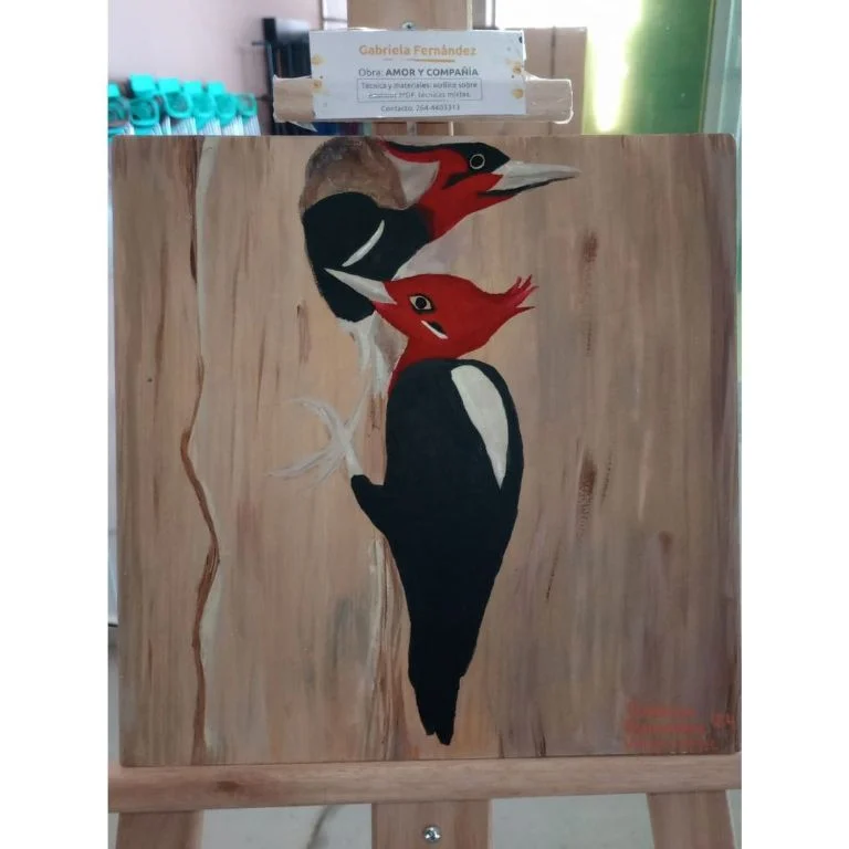 f768x1-403071_403198_5050