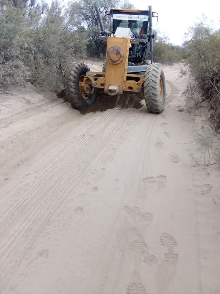 133747807_3682784621764716_2104682211565469089_n