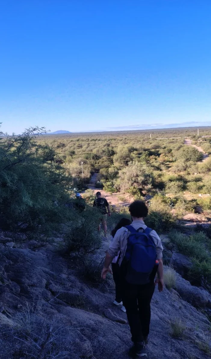 8e7e4bf2-715f-4943-8190-22cf109aa936