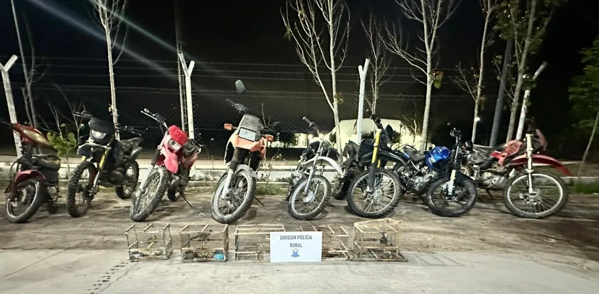 motos