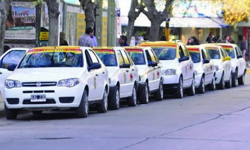 taxis-e1508935705749