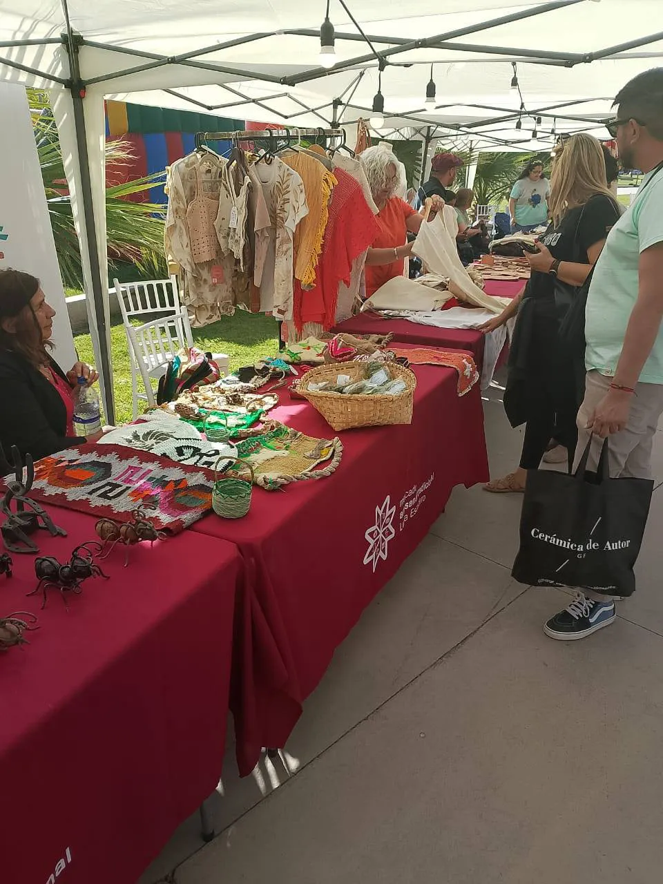 561624347_1240133561474931_4386991176992856890_n