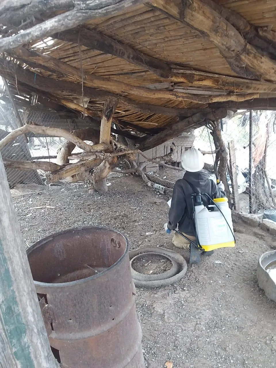 549134764_1216986920456262_9048971448383135380_n