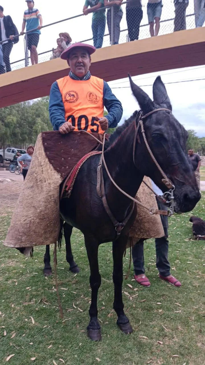 579013345_1261000539388233_6075785734512427232_n