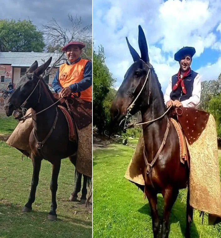 577424641_1261000406054913_881112475571553945_n