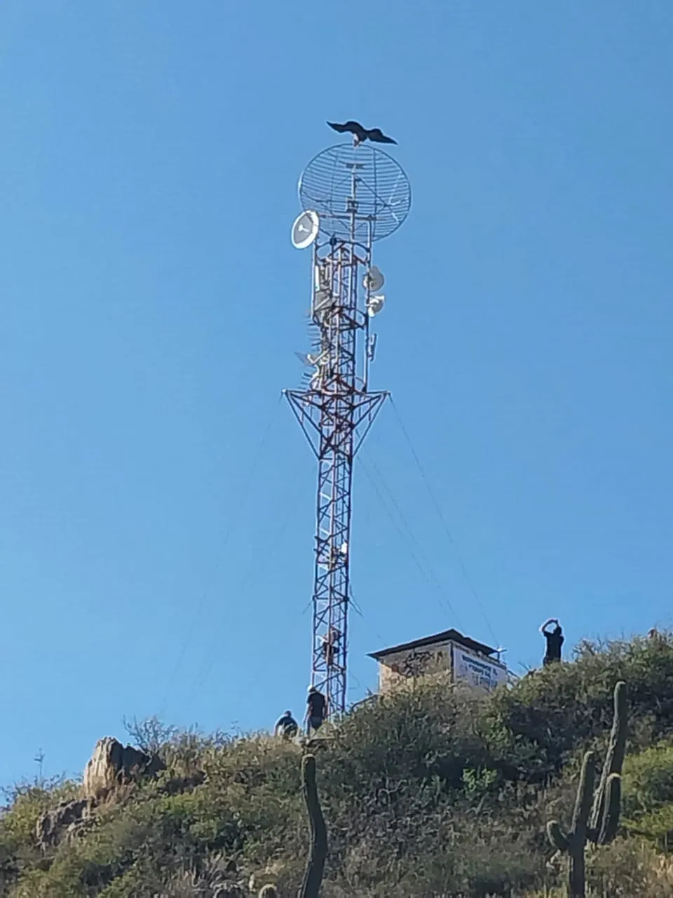 431575428_826731026148522_7967385286505638583_n