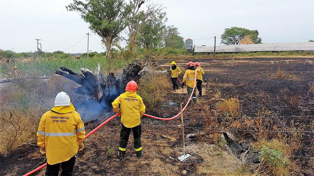 51896400794_5dacb3e640_b