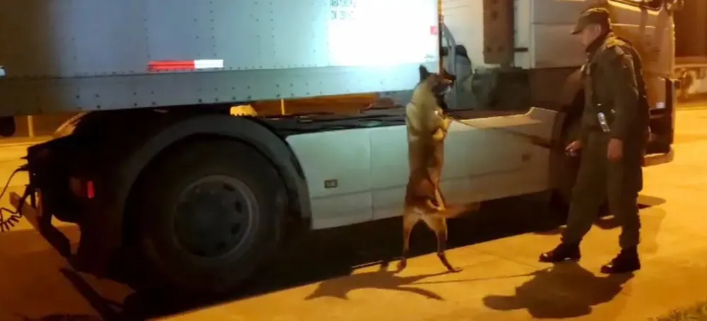 dos_toneladas_de_marihuana_ocultos_en_una_carga_de_panes_de_hamburguesas_2