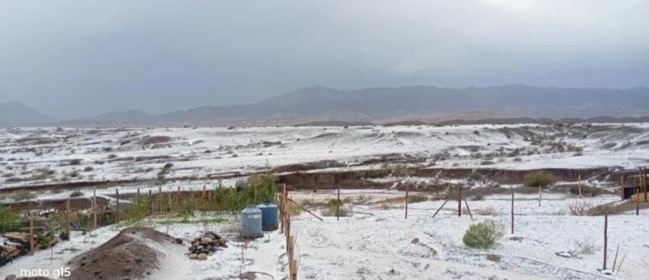 WhatsApp-Image-2026-01-22-at-21.31.32-728x315