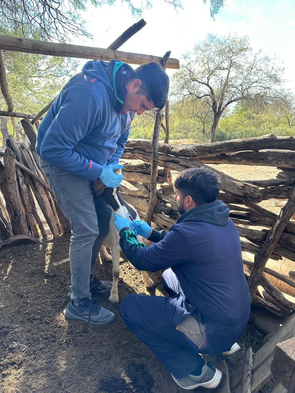 502556841_1126493869505568_6661226167590007034_n