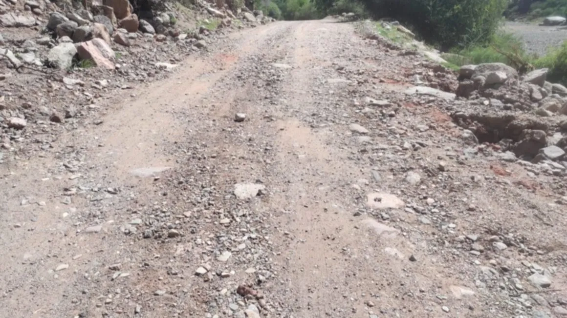 52fb4fd3-4f27-44a8-9f25-8f4ad7638aa8-jpeg.