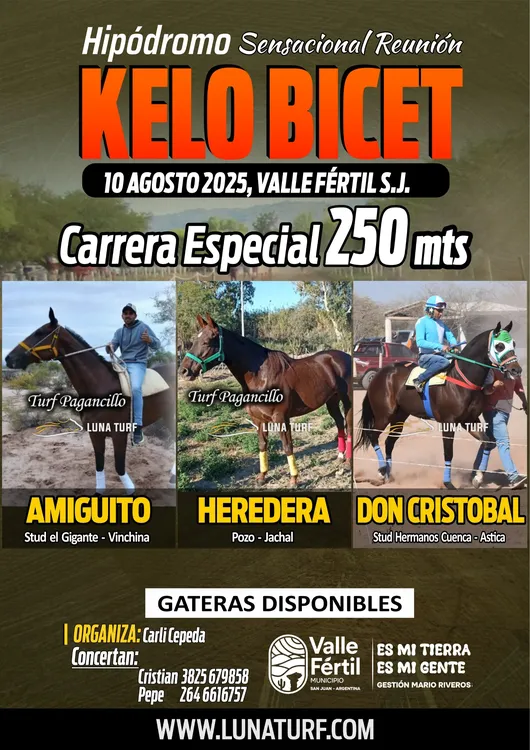 8d434e49-48e9-47c1-b2a1-682643c4ae6d