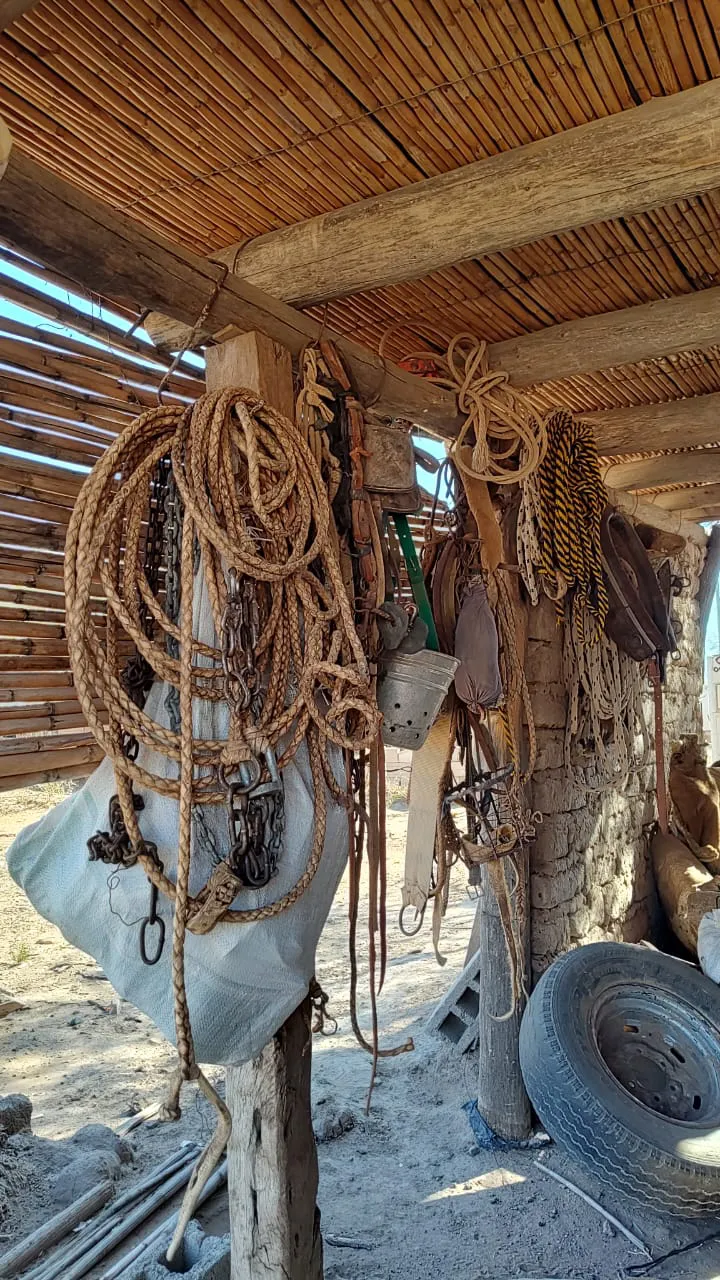 4205c201-dc2b-4346-80c3-39f39e8df69b